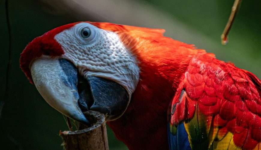 Top 10 Ecotourism Destinations in India