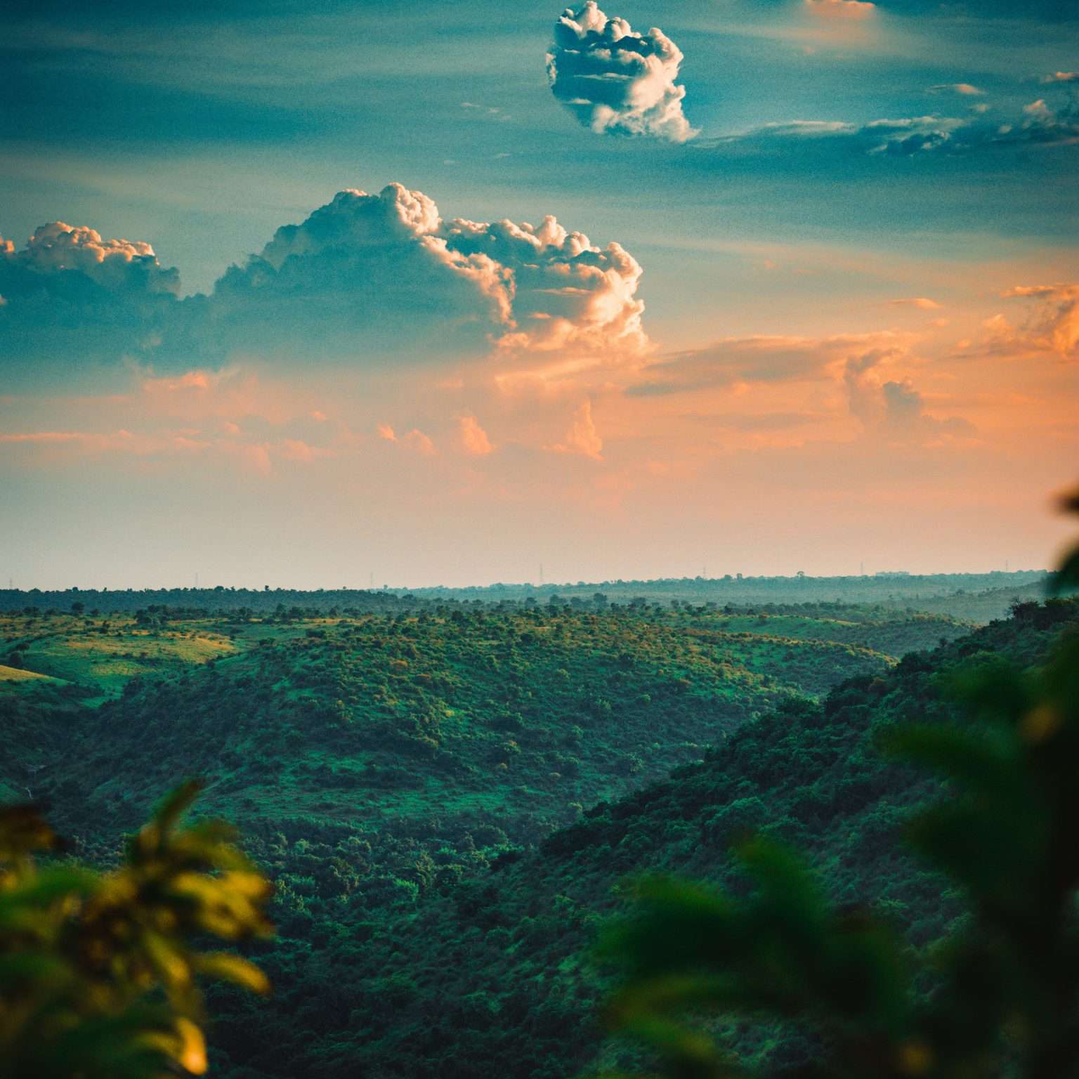 sagar-kulkarni-kajxkJIUE_Q-unsplash