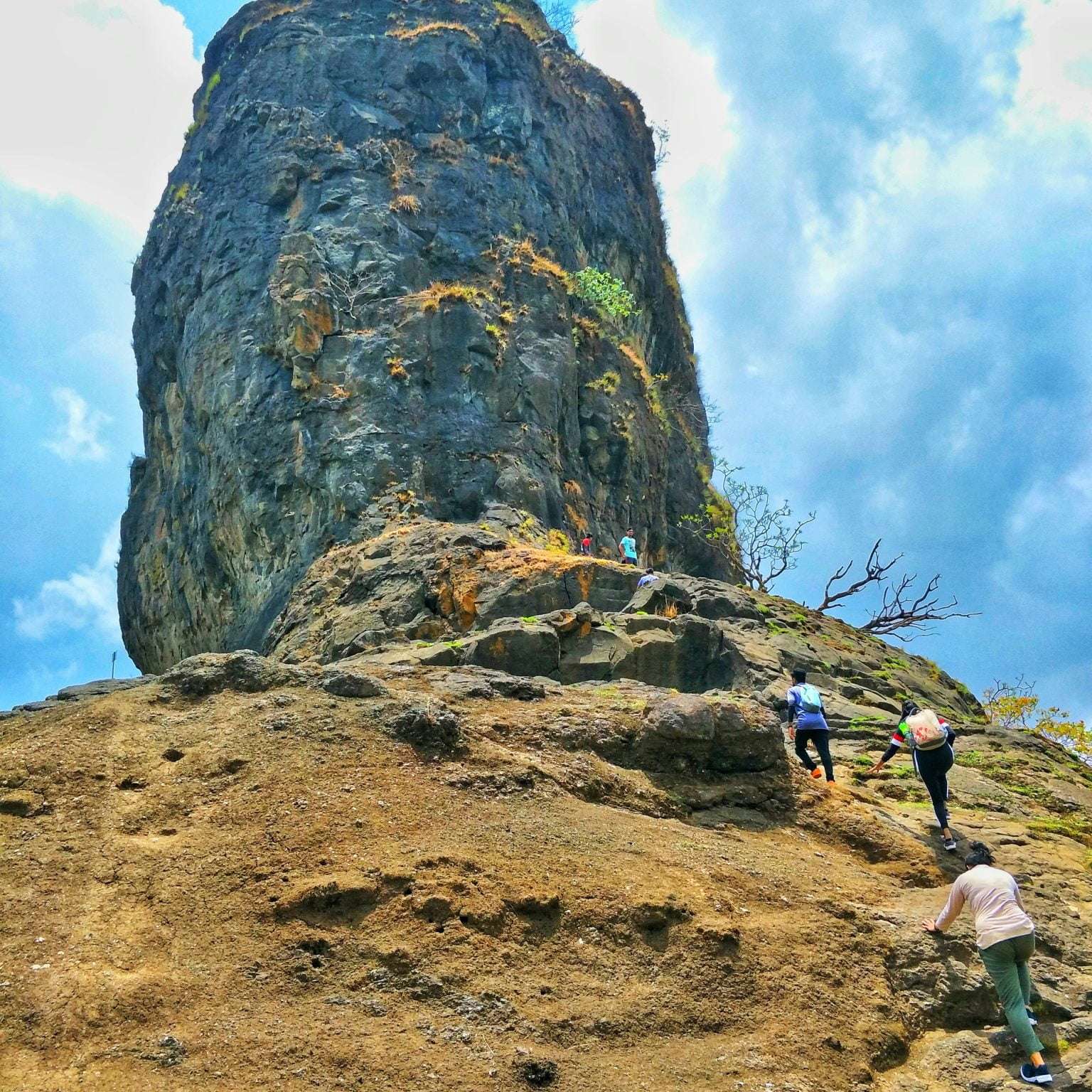 sunny-pal-GjQWA5cxAIs-unsplash