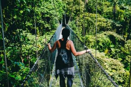 Unveiling the Natural Splendor: Exploring the Jungle Camp Resorts in India