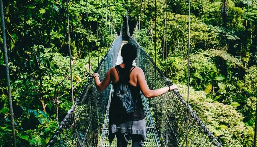 Unveiling the Natural Splendor: Exploring the Jungle Camp Resorts in India