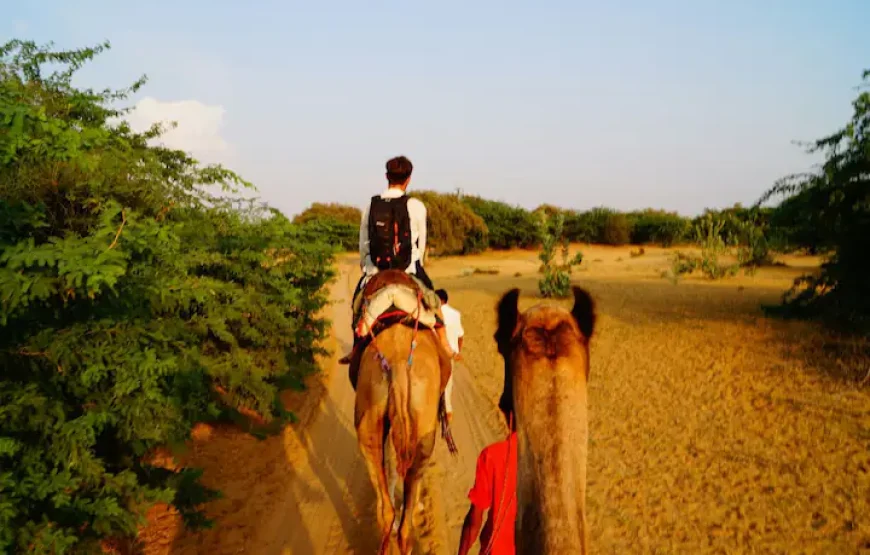 GreenArts – Experience the desert at Jaisalmer