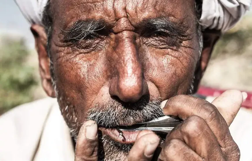 GreenArts – Experience the desert at Jaisalmer