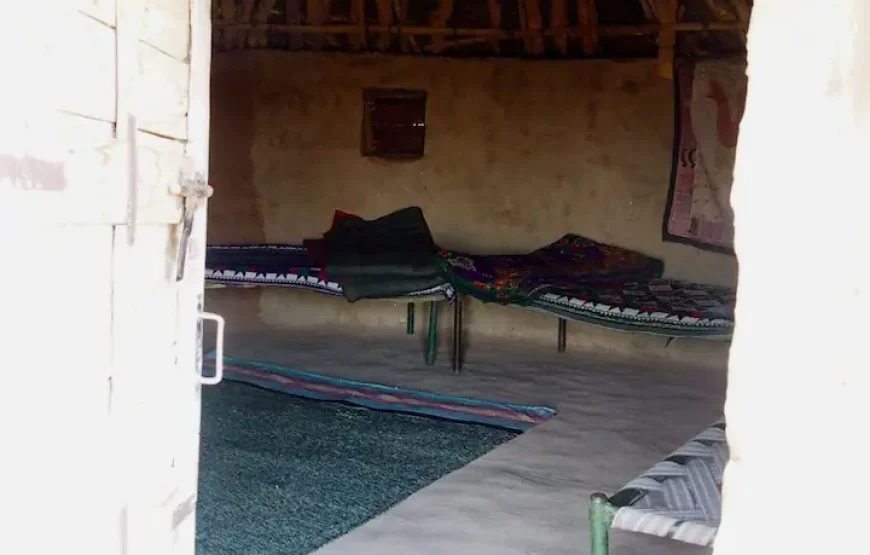 GreenArts – Experience the desert at Jaisalmer