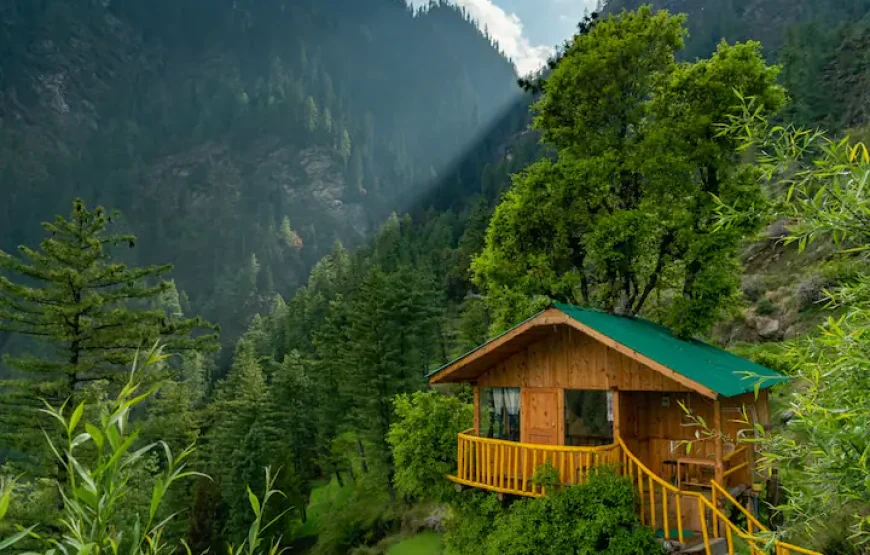 Whispering Pines Cottages – TreeHut