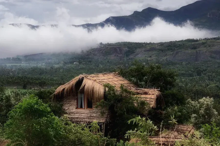 Erumadam – The Treehouse at Munnar