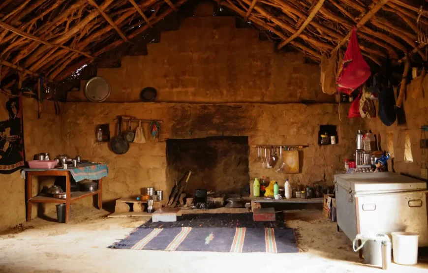 GreenArts – Experience the desert at Jaisalmer