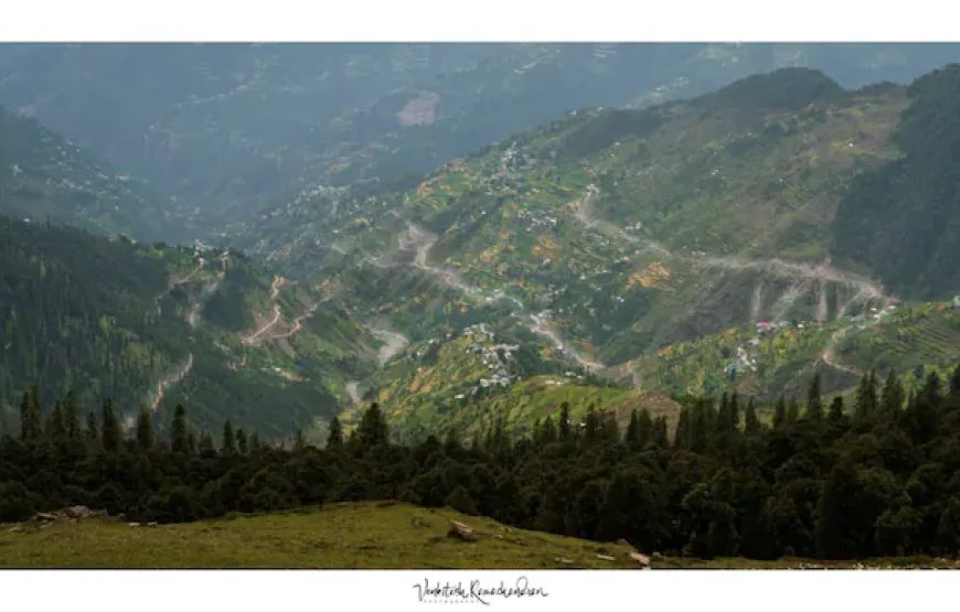 Whispering Pines Cottages – TreeHut