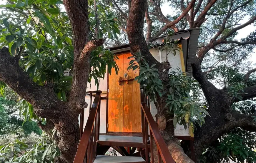 MARS Farm Jungle Adventure