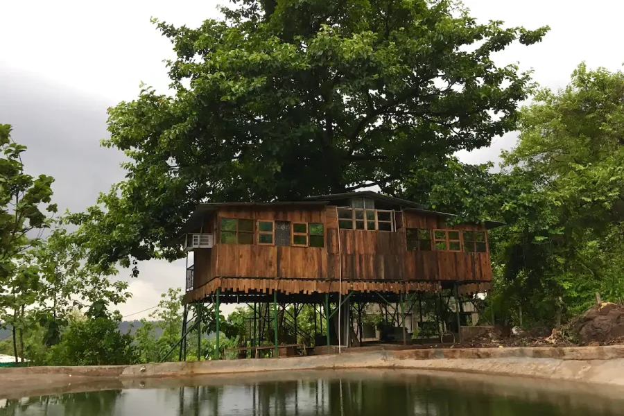 Riverfront Treehouse