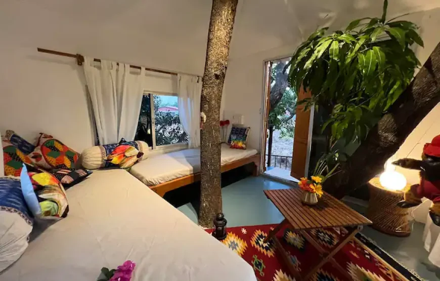 MARS Farm Jungle Adventure