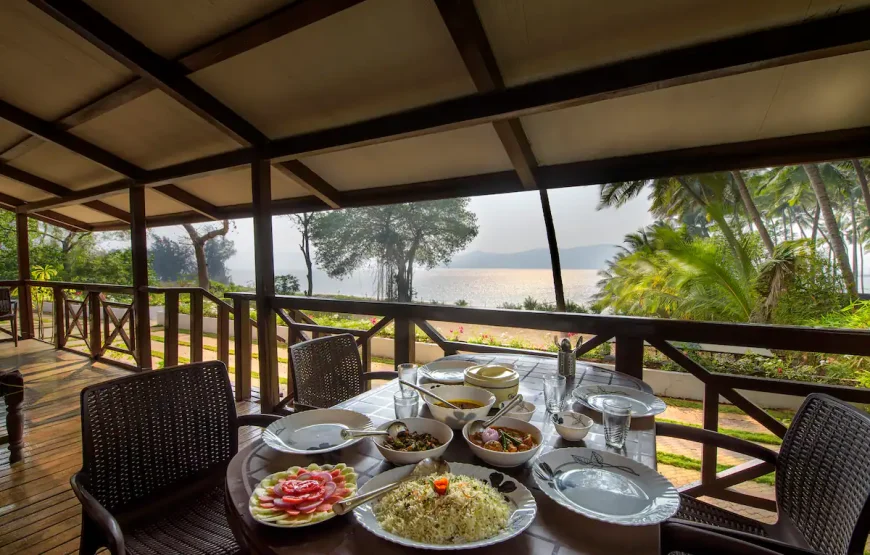 Little Paradise Orchid