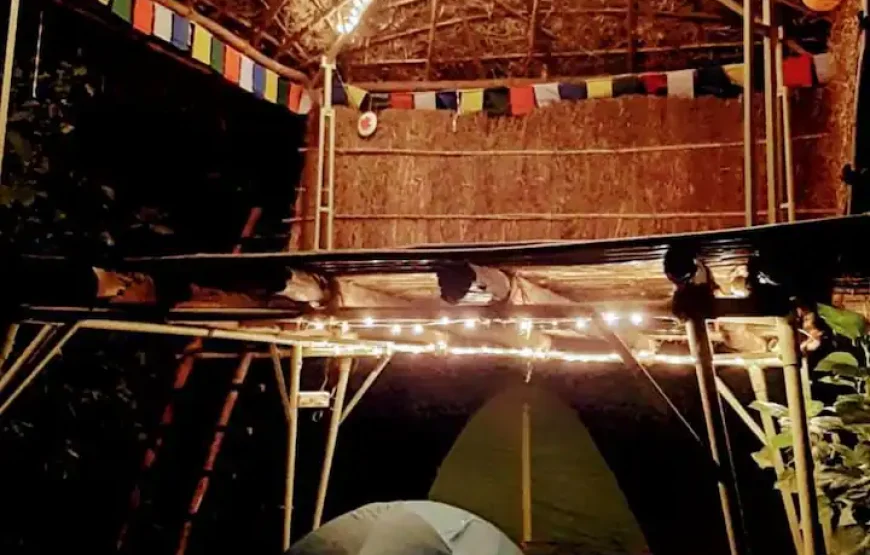 OrangeLife Glamping – A