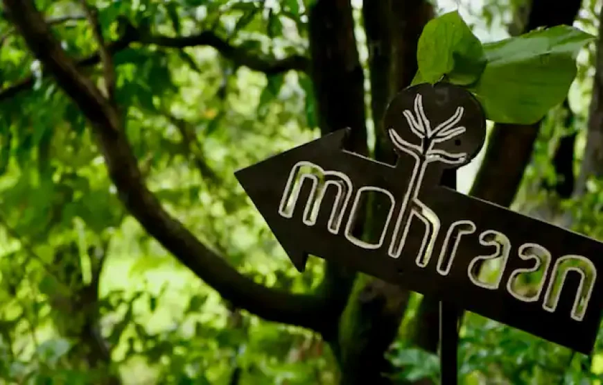 Mohraan