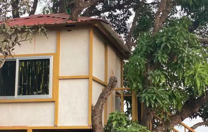 MARS Farm Jungle Adventure