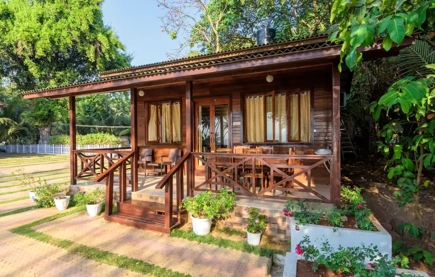 Little Paradise Orchid