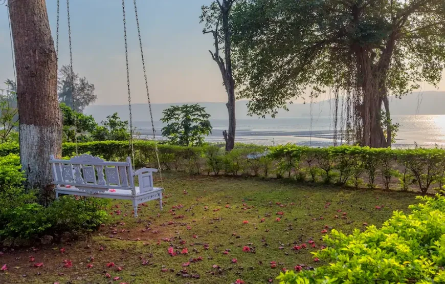 Little Paradise Orchid