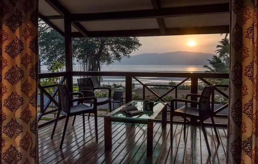 Little Paradise Orchid