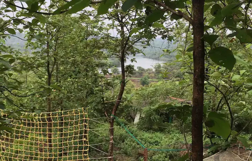 Riverfront Treehouse