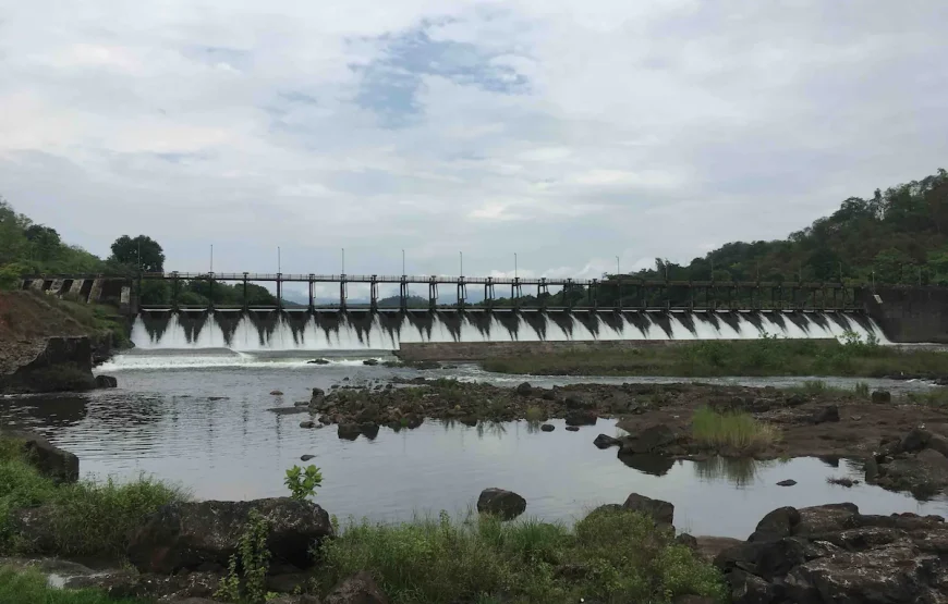 Riverfront Treehouse