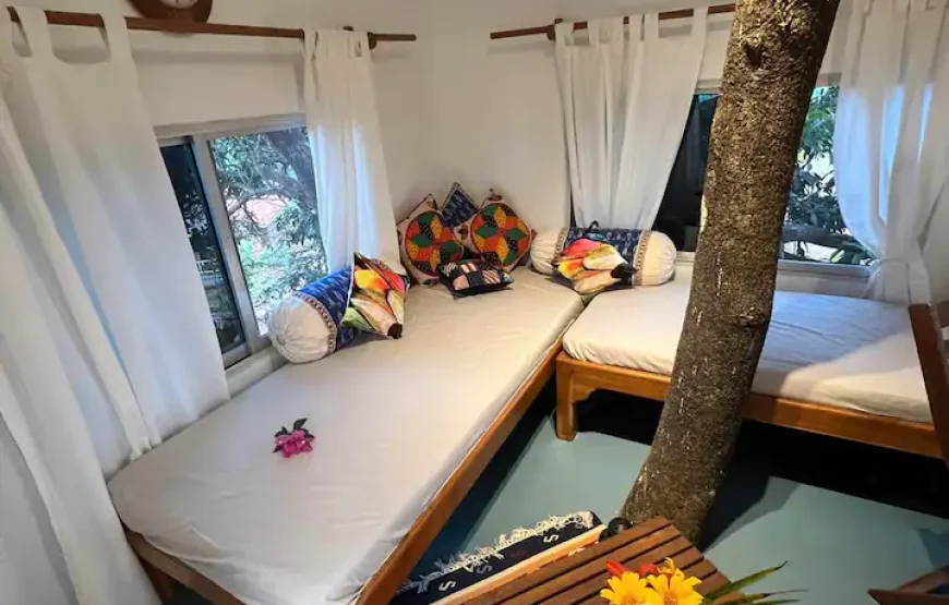 MARS Farm Jungle Adventure