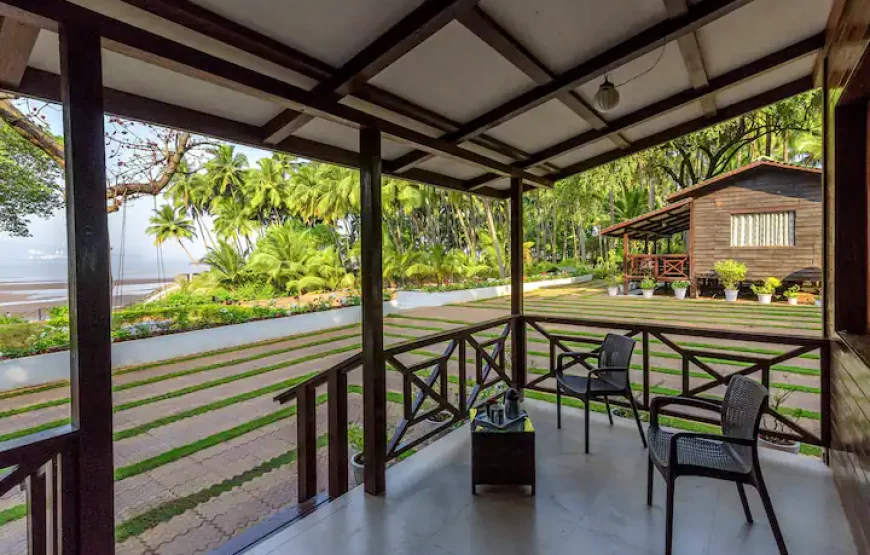 Little Paradise Orchid